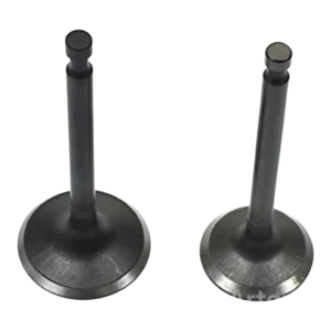 Juego De Valvulas Entrada Y Salida