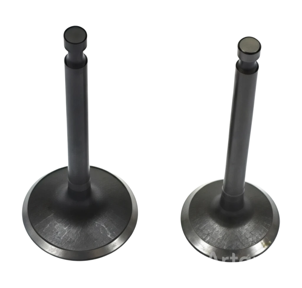 Juego De Valvulas Entrada Y Salida